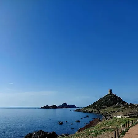 Superbe Bord De Mer Aux Sanguinaires *